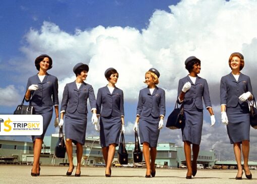 شغل زیان آور مهمانداری