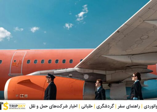 مهماندار هواپیما