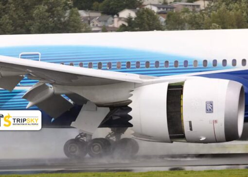Thrust Reverse