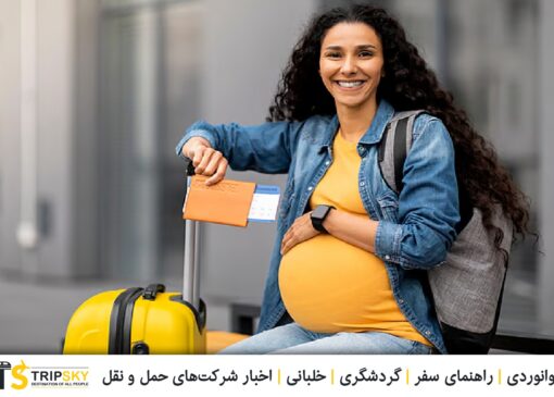 مسافرت با هواپیما