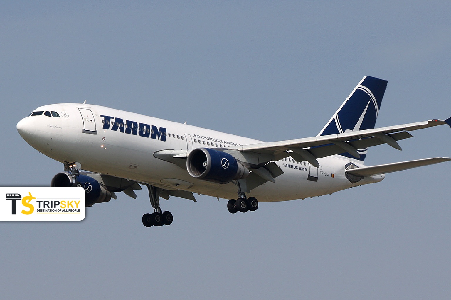 ایرباس 310 TAROM