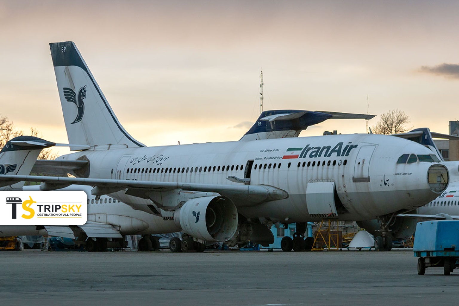 ایرباس A310 ایران ایر