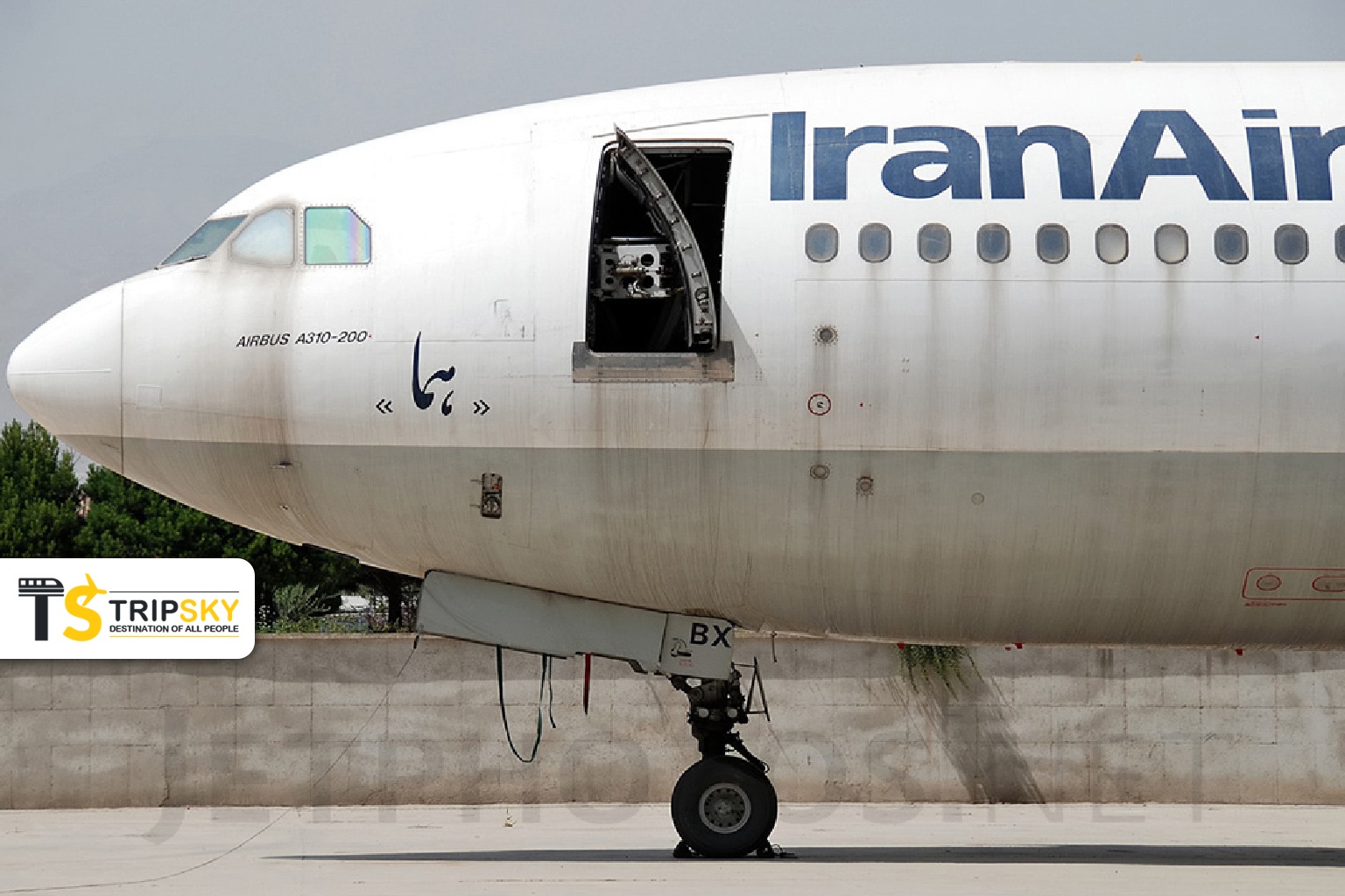 ایرباس A310 هما EP-IBX
