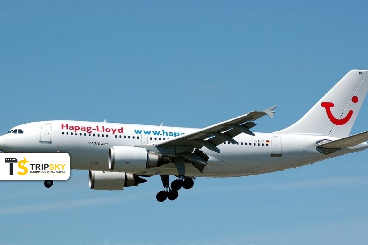 ایرباس 310 Hapagfly