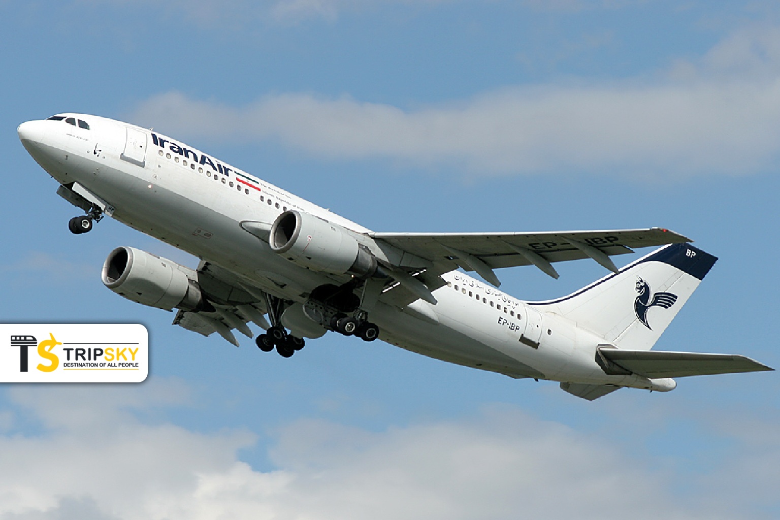 ایرباس A310 ایران ایر