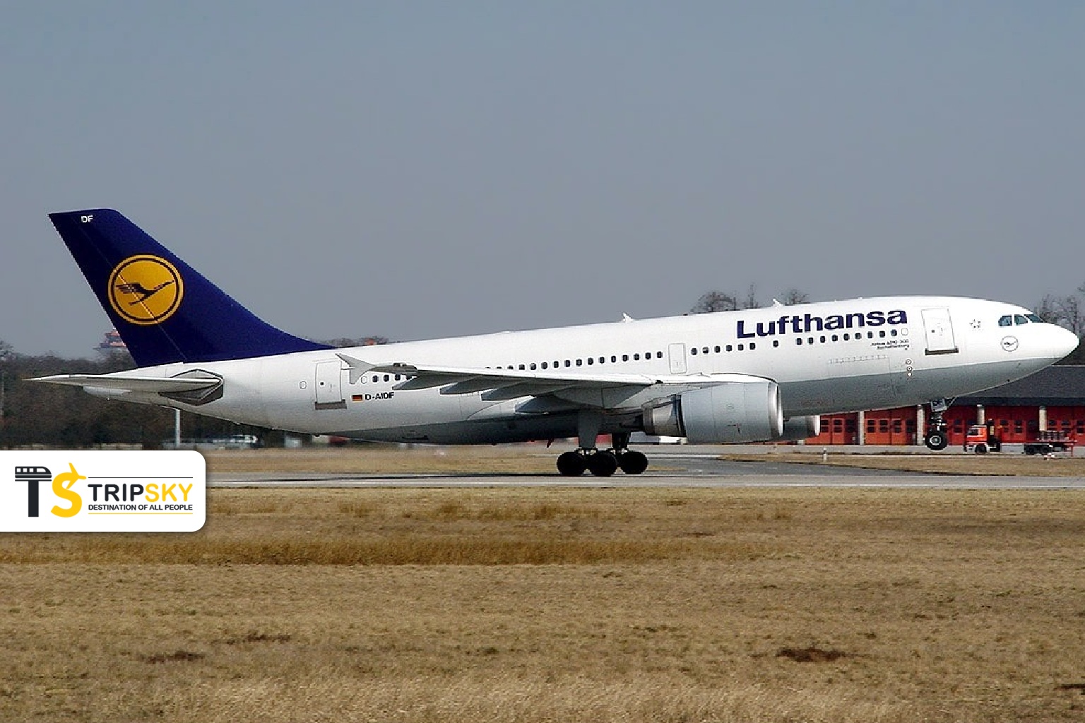 ایرباس 310 لوفتهانزا