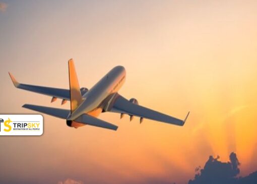 فاصله تهران تا کیش: راه‌های سفر و زمان‌بندی مناسب برای رسیدن