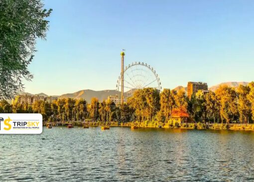 راهنمای کامل پارک ارم تهران؛ شهربازی، باغ‌وحش و تفریحات هیجان‌انگیز